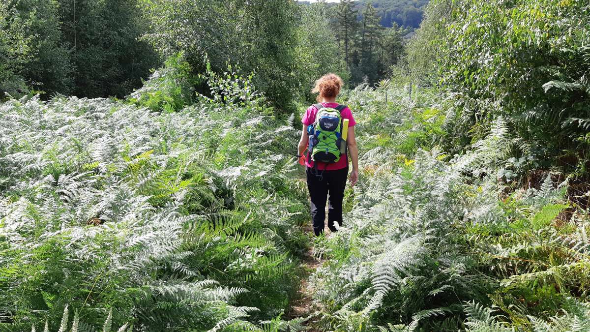 teutoschleife Canyon Blick - wandelvrouw