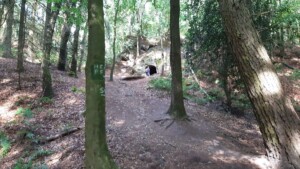 Teutoschleife Tecklenburger Bergpfad - Rolands grab