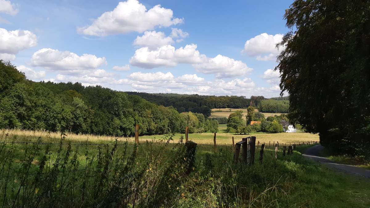 teutoschleife Canyon Blick 