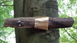 Gouden trappen, Tecklenburg