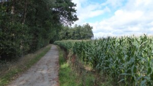 Teutoschleife Dörenther Klippen