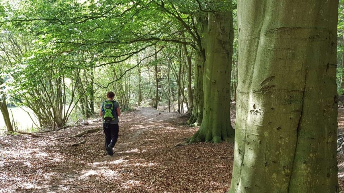 WW3D Weerribben-Wieden Wandel3Daagse - wandelvrouw