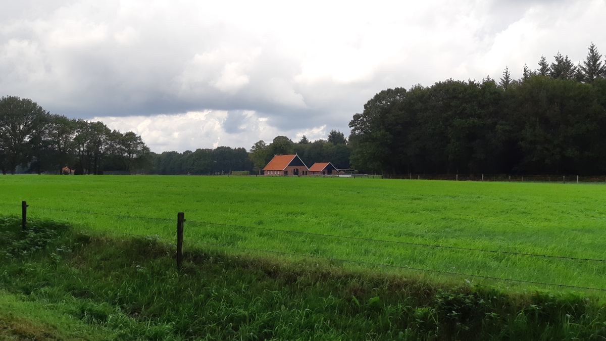 Hof Espelo - boeren plaatsen