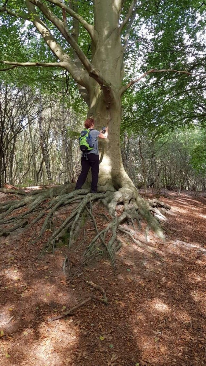 bomen fotograferen