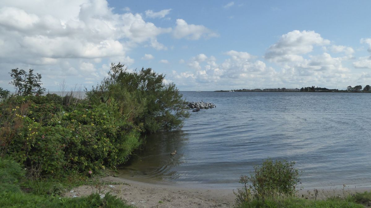 Koopmanspolder - Ijsselmeer - Medemblik