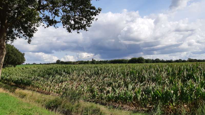 Overijssels landschap