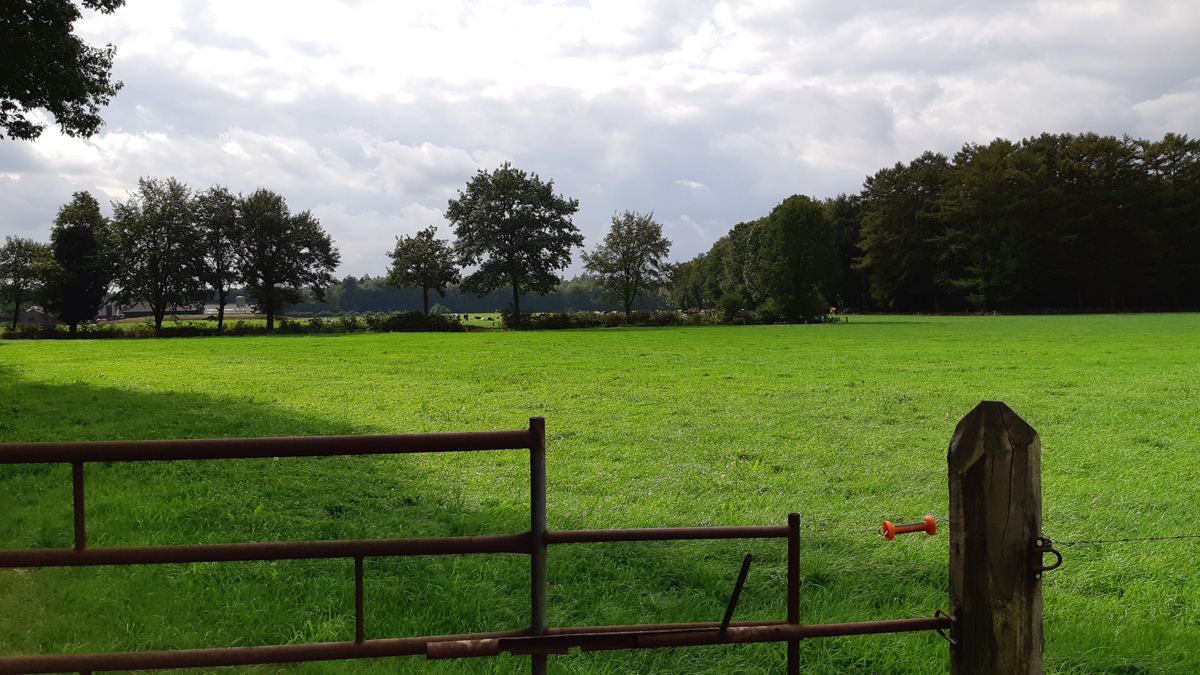 Hof Espelo - boeren plaatsen