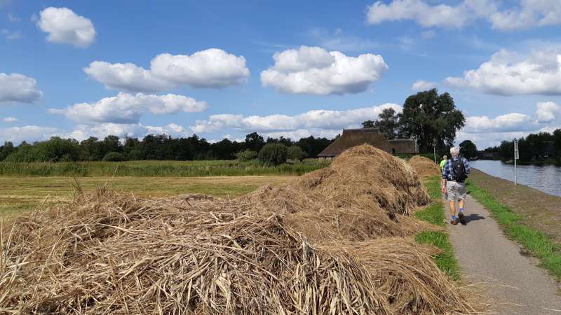 Weerribben-Wieden wandel3Daagse - Kalenberg