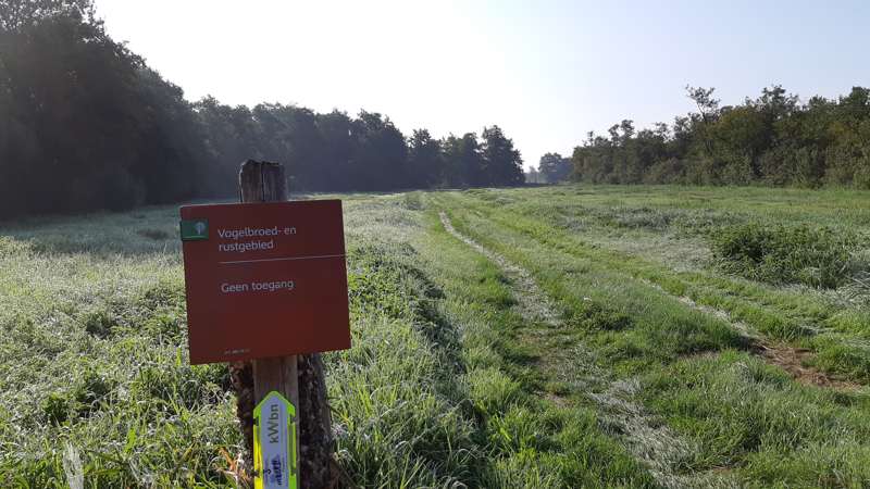 Weerribben-Wieden wandel3Daagse 