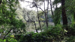 Kleigaten Lonnekerberg