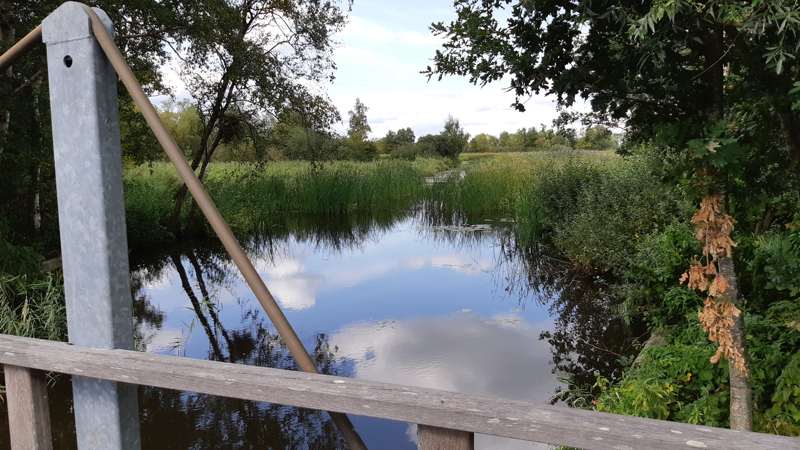 Weerribben-Wieden wandel3Daagse 