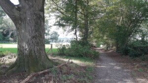 De mooiste wandeling van Nederland 2018 - Twentse Wallen - Markelo
