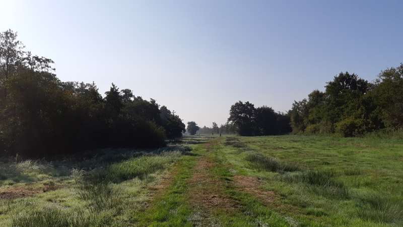 Weerribben-Wieden wandel3Daagse 