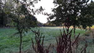 WW3D Weerribben-Wieden Wandel3Daagse