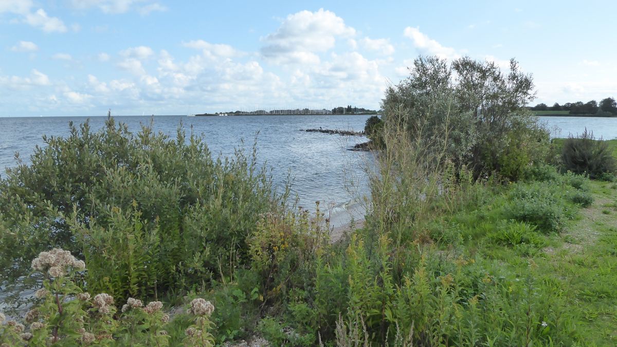 Koopmanspolder - Ijsselmeer - Medemblik