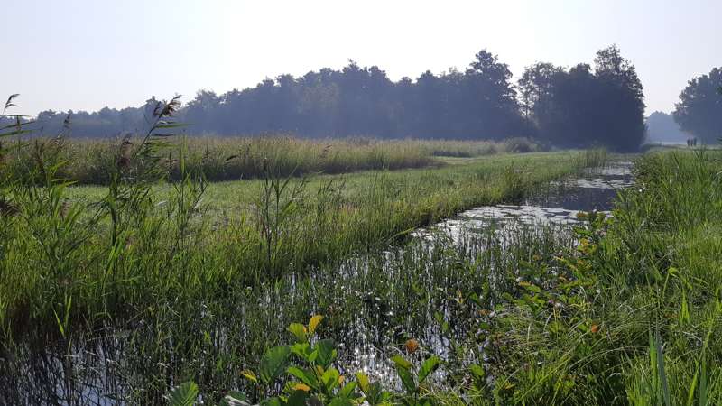 Weerribben-Wieden wandel3Daagse 