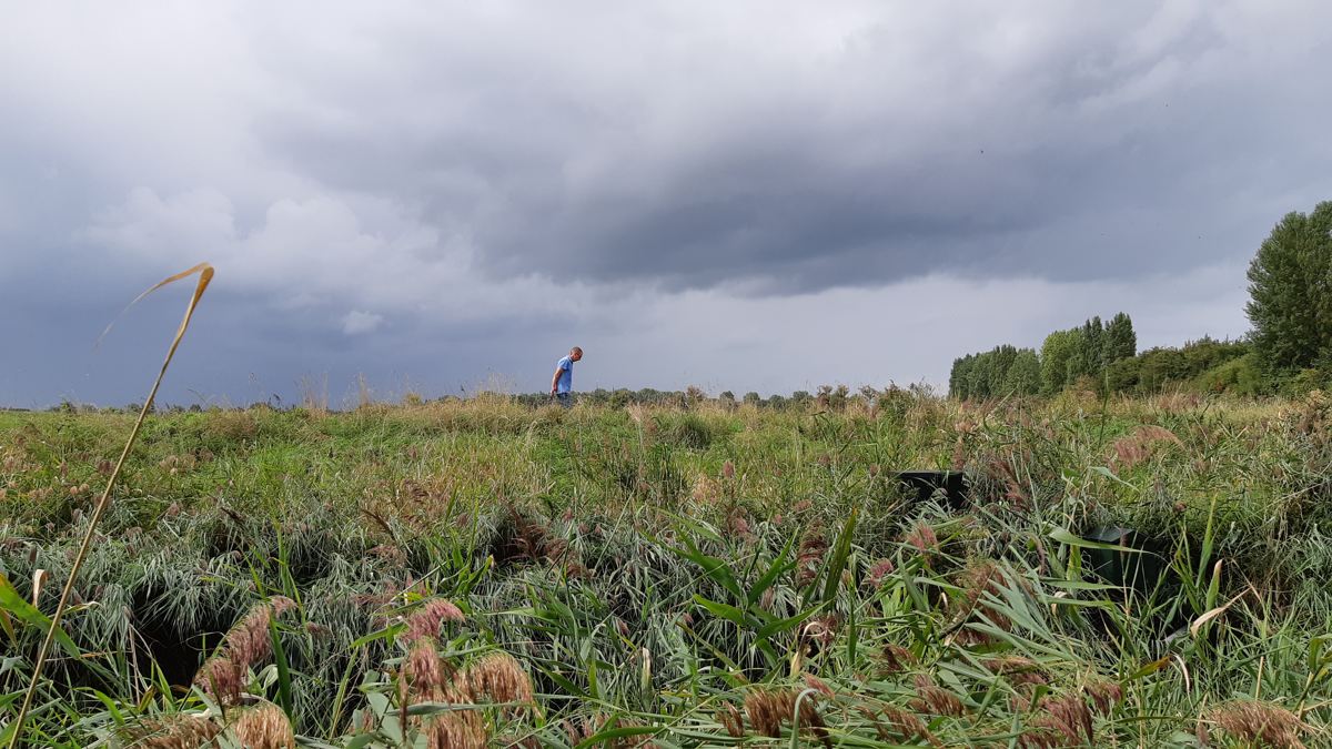 Wandelen in de Koopmanspolder