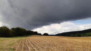 Teutoburgerwoud - Teutoschleifen - Tecklenburger Bergpfad