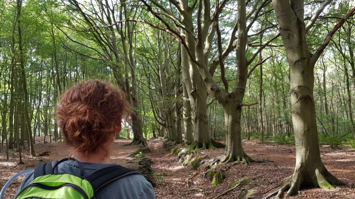 WW3D Weerribben-Wieden Wandel3Daagse - wandelvrouw