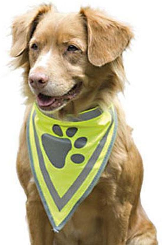 Veiligheidshalsdoek, veilig wandelen met je hond