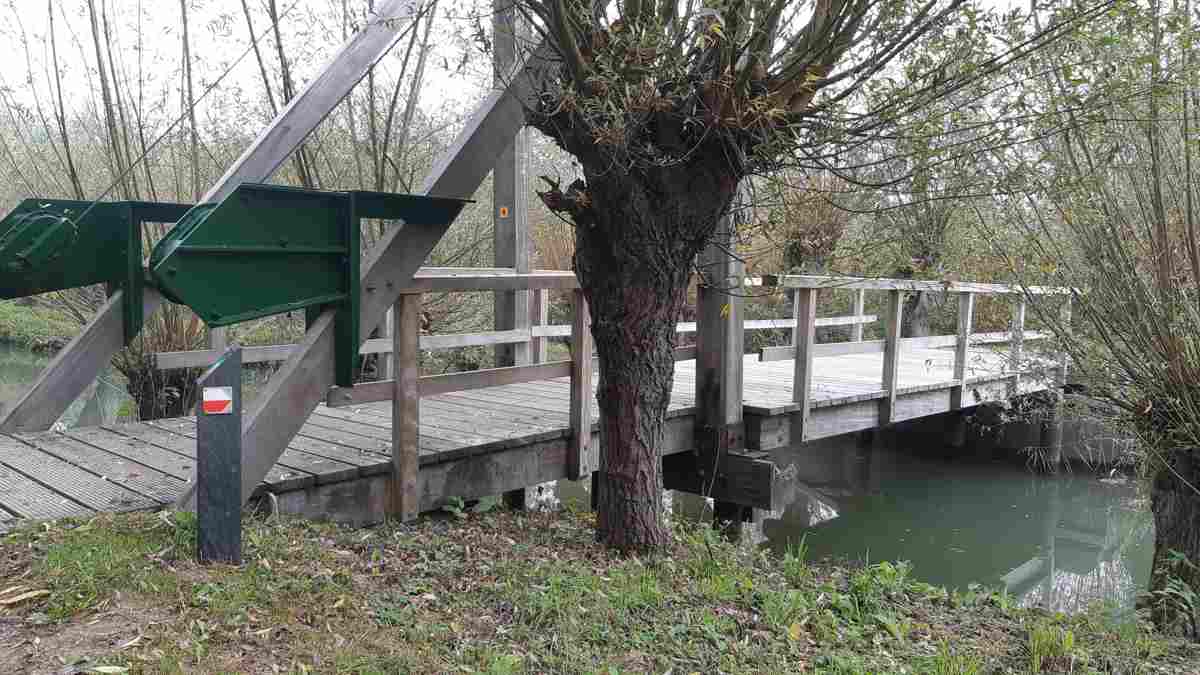 Ontdek IJsselmonde - Rhoonse Grienden