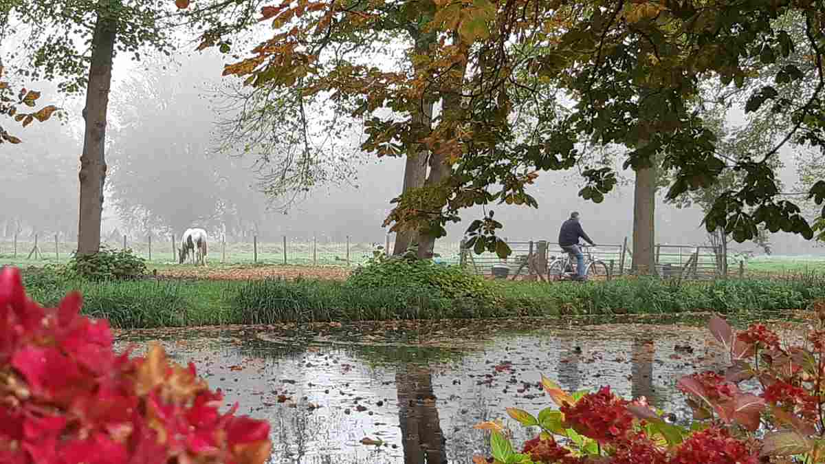 Ontdek IJsselmonde - Rhoon