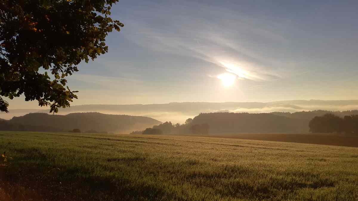 Naturlagerplatz 'Land in Sicht' - uitzicht