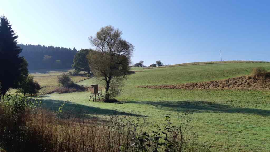 Eifelsteig etappe 5