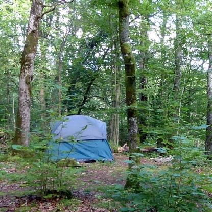 wild kamperen