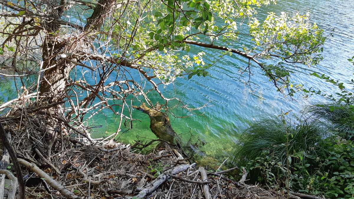 Dichtbij zie je hoe helder het water is - rivier Krupa - Kroatië