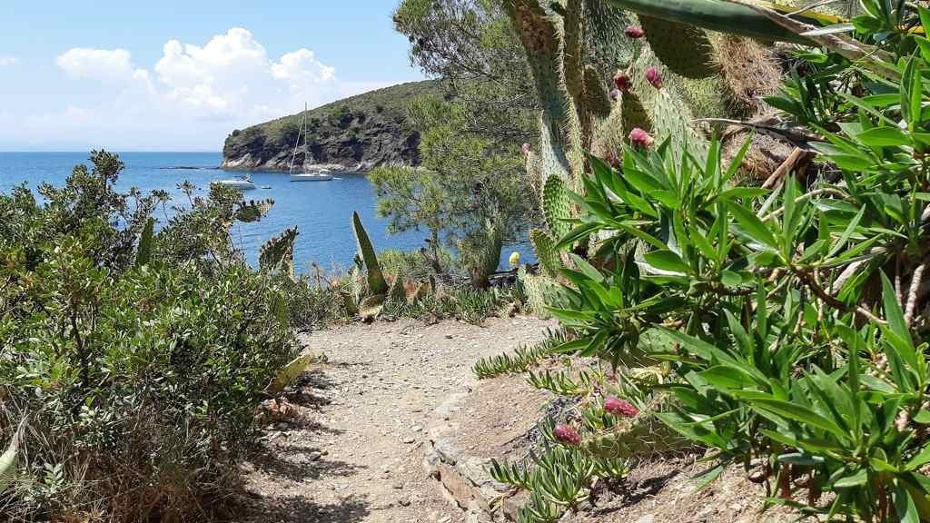 Wandelen langs de Catalaanse kust - GR92