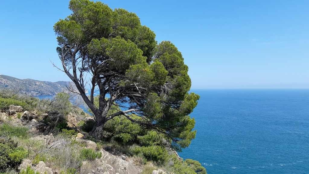 Wandelen langs de Catalaanse kust - GR92