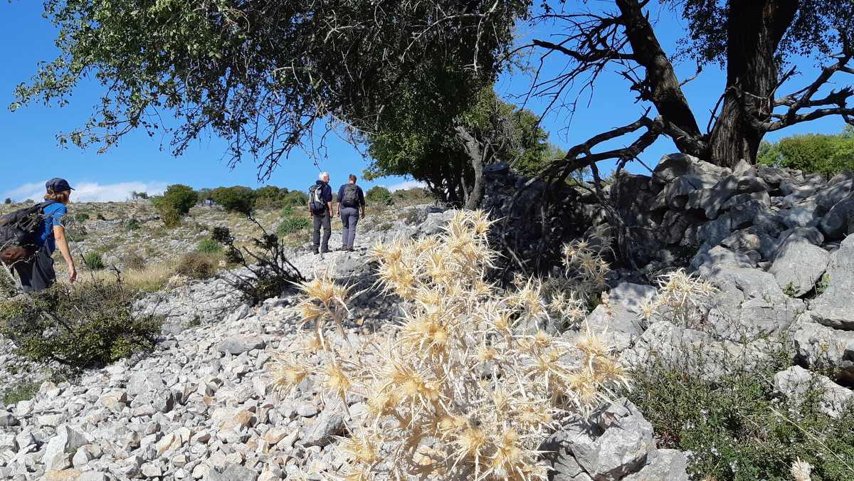 Wandelen boven de rivier Krupa op stenige bodem