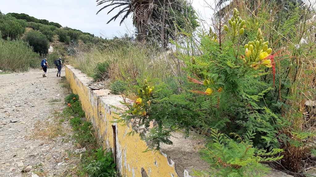 Wandelen langs de Catalaanse kust