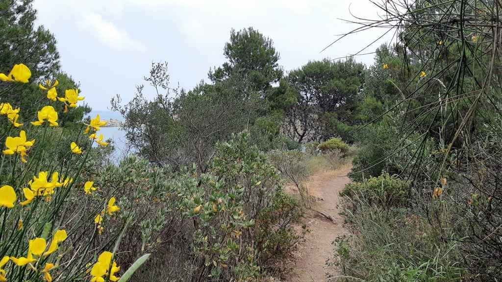 Wandelen langs de Catalaanse kust