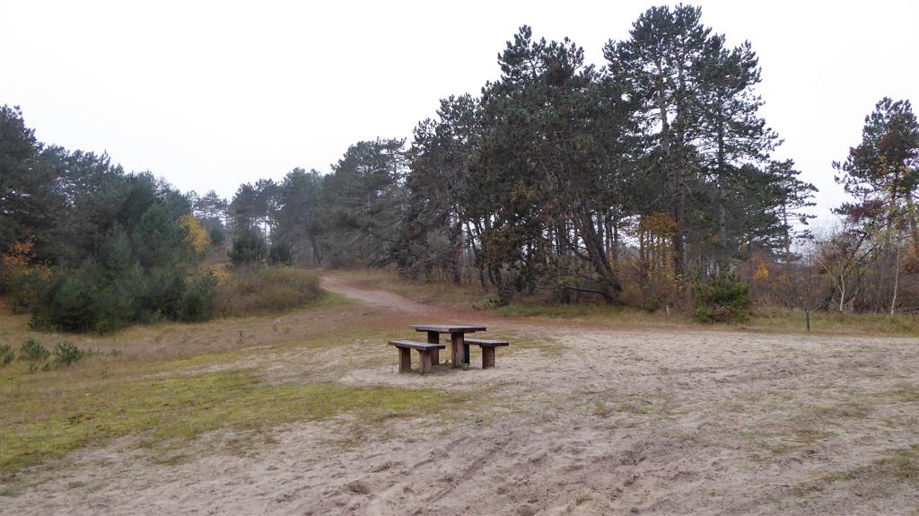 Wandelen op Schouwen-Duiveland