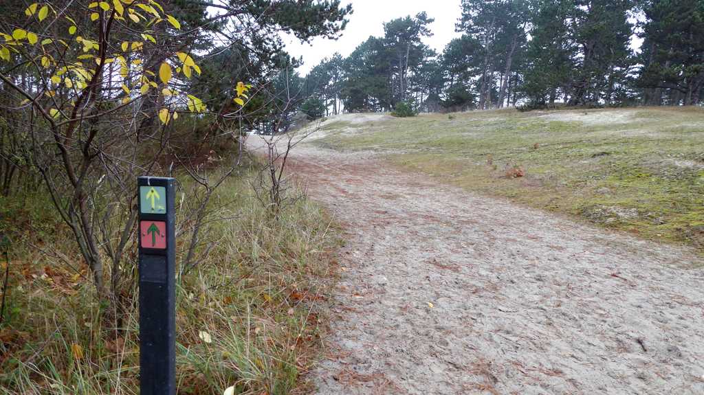Wandelen op Schouwen-Duiveland - groene paaltjes - meeuwenduinen-wandeling