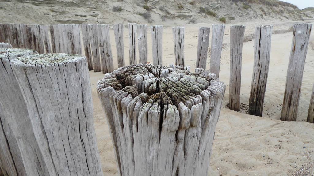 trandpalen - wandelen over het strand in Zeeland