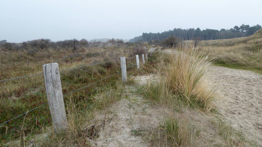 Meeuwenduinen-wandeling - wandelen in Schouwen-Duiveland