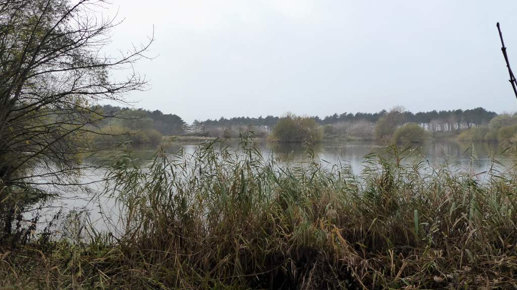 Meertje - Wandelen op Schouwen-Duiveland