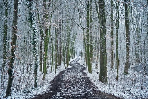 winterwandelvakantie Twente