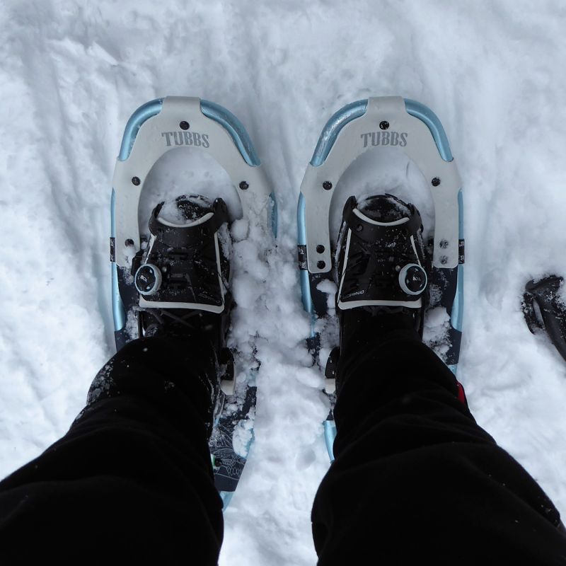 Sneeuwwandelen met wandelschoenen Jack Wolfskin Thunder Bay Texapore Mid