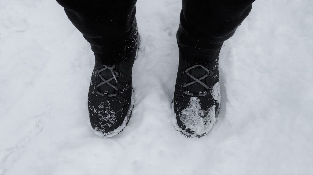 Sneeuwwandelen met wandelschoenen Jack Wolfskin Thunder Bay Texapore Mid