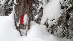 Sneeuwschoenwandelen - Rauris - raurisertal - Kolm Saigurn - GR