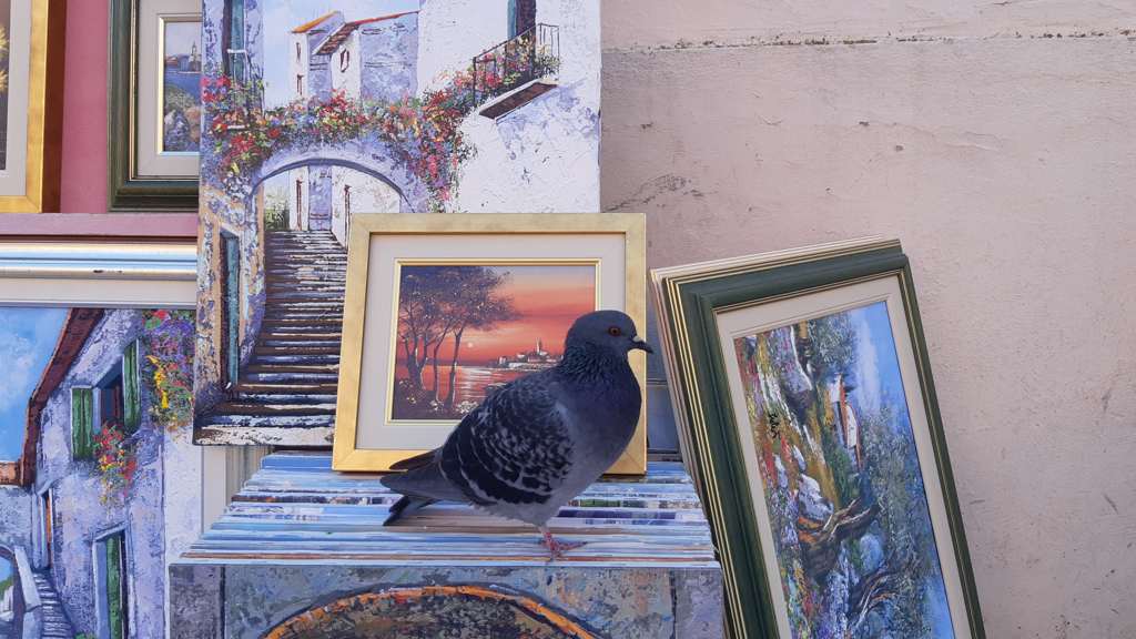 Stadwandeling Zadar - kunst met duif
