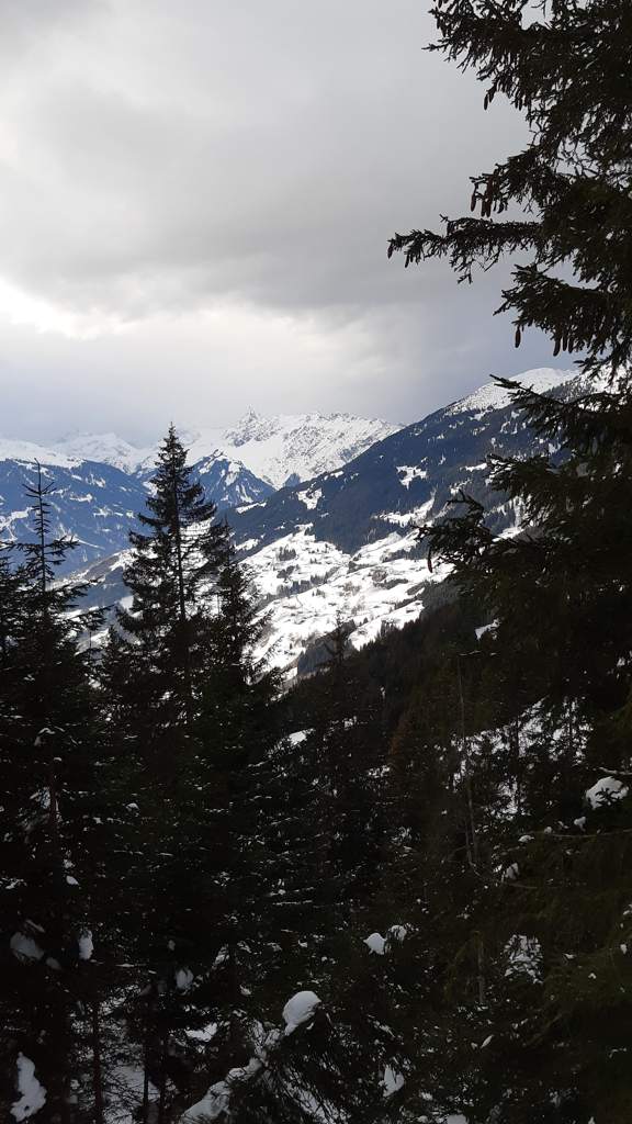 Silbertal - panormaloipe kristberg - Montafon