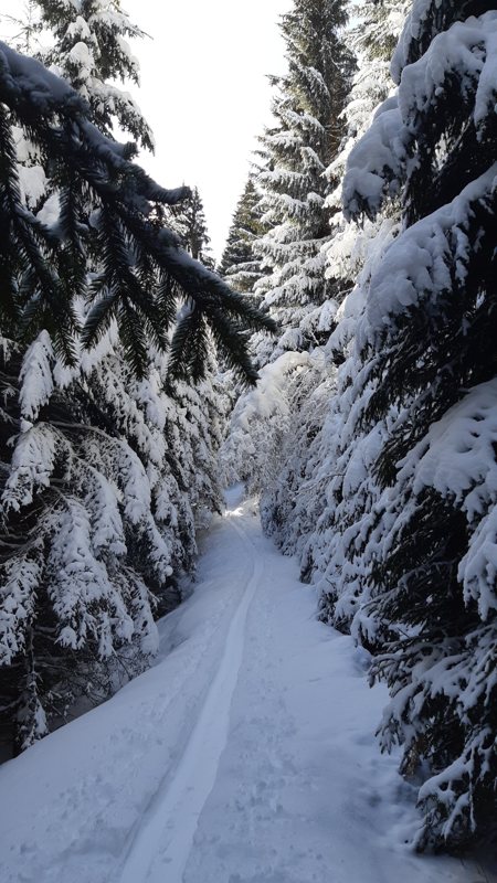 ski touring - Raurisertal