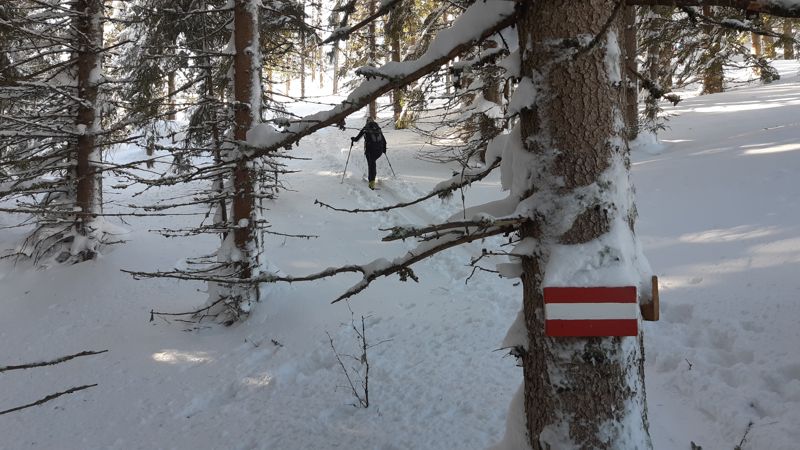 toerskiën - Raurisertal