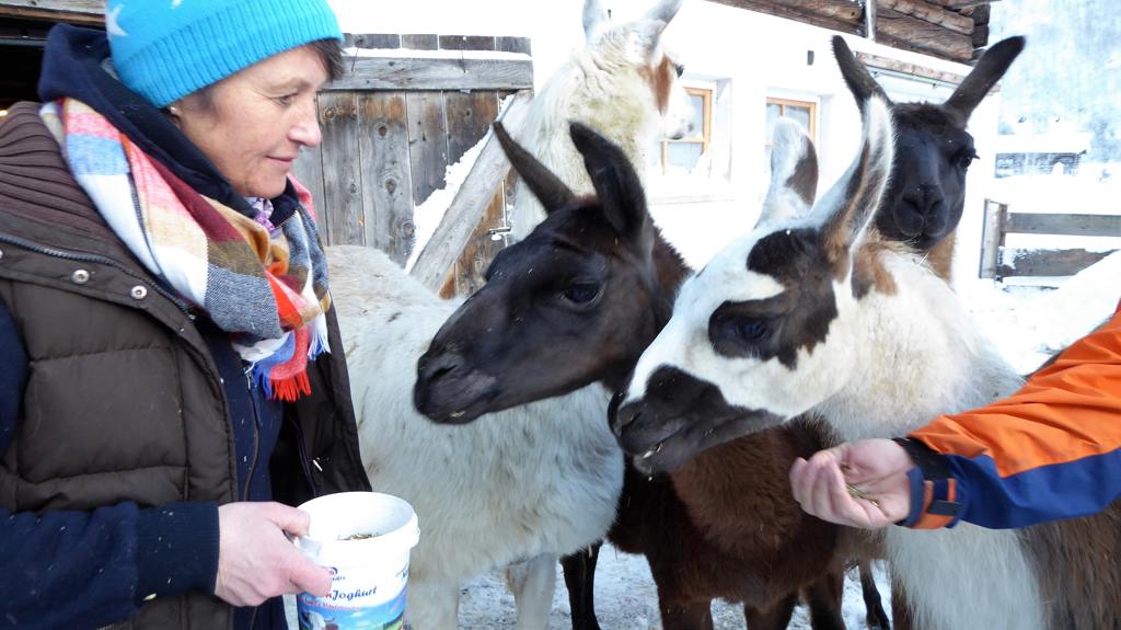 Rosa madreiter - Wandelen met lama's - Begegnunung mensch & Tier