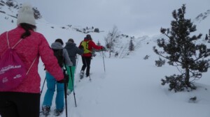 Sneeuwschoenwandeling Silvrettasee